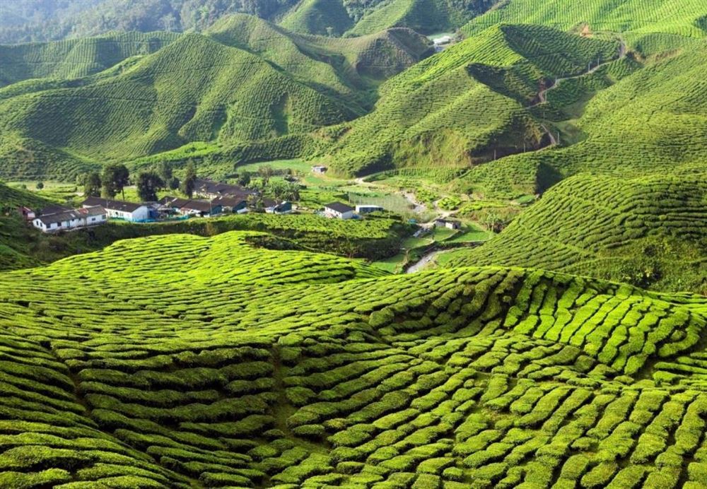 The Best of the Highlands (Short Version)